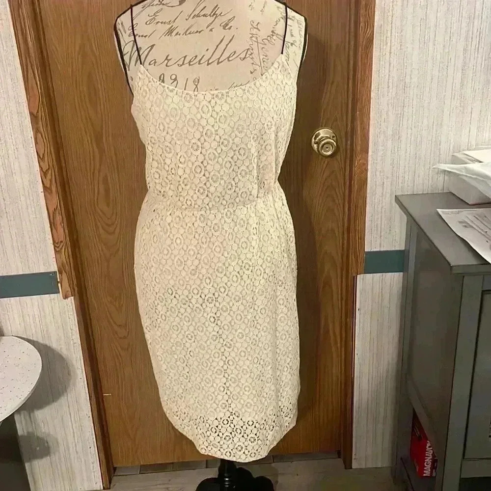 NWT J. Crews Dress